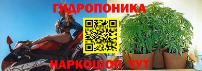 Альфа ПВП Кунгур