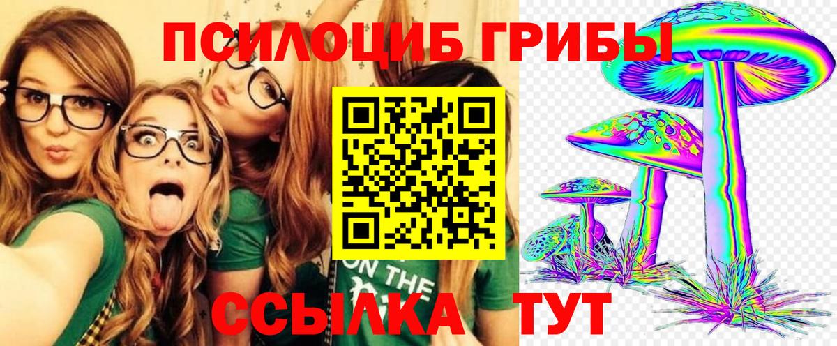 Псилоцибиновые грибы Psilocybe  Галлюциногенные грибы мицелий  Вход с VPN  Ишим 